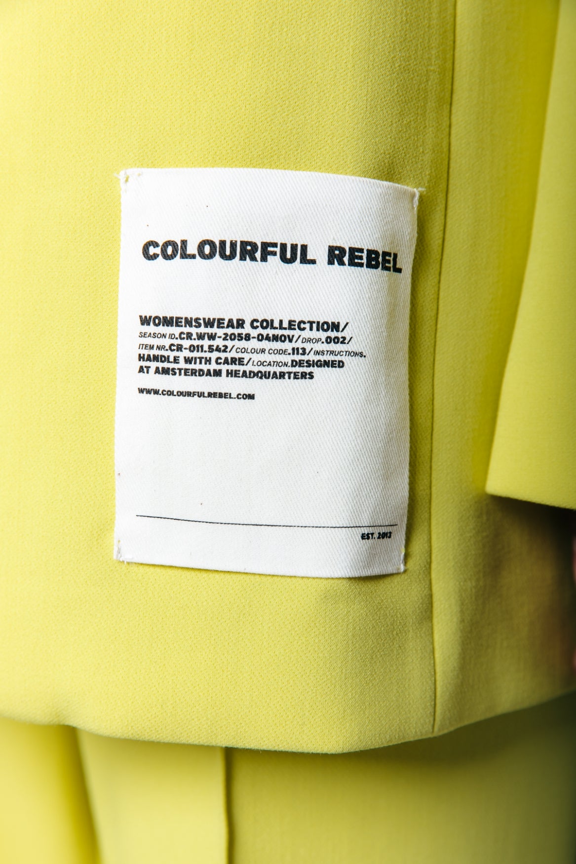 Colourful Rebel Gemma Oversized Blazer | Neon lime