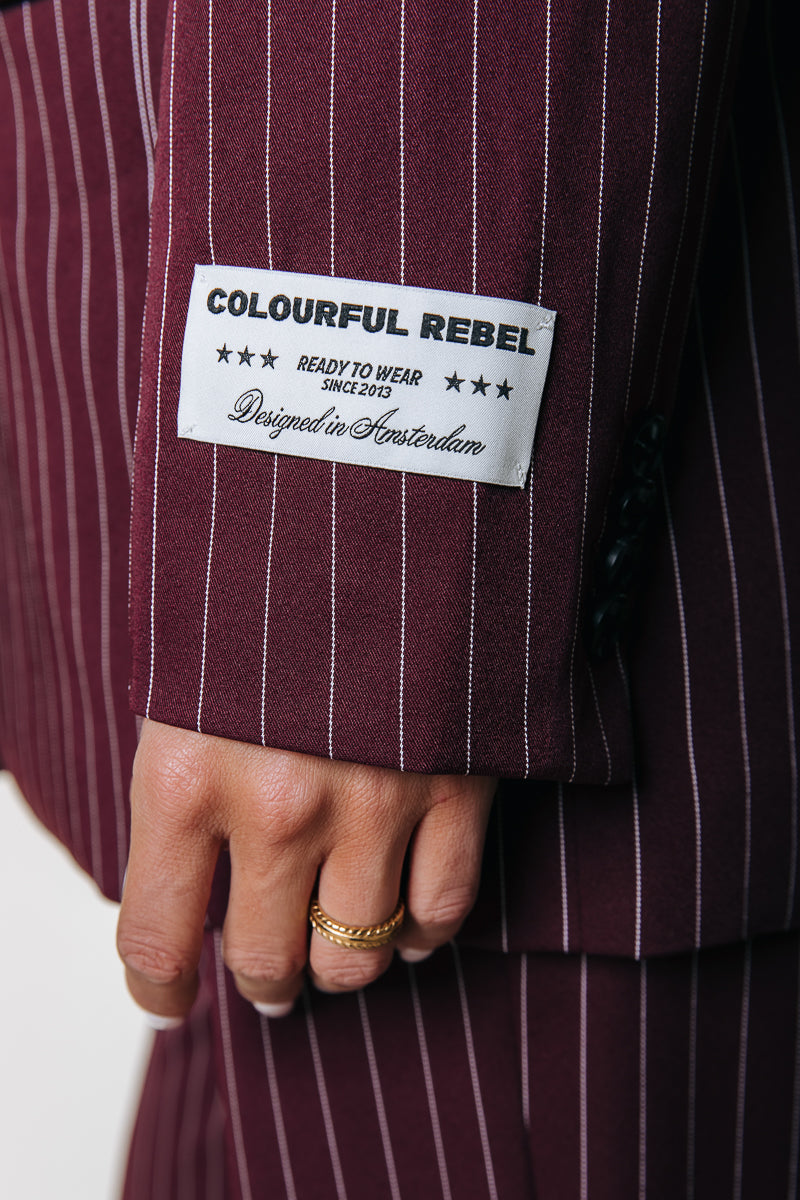 Colourful Rebel Jesra Pinstripe Blazer