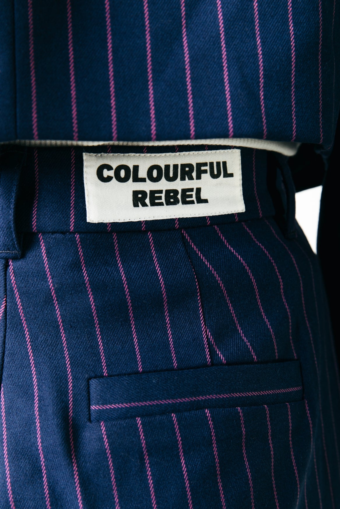 Colourful Rebel Rus Pinstripe Pants