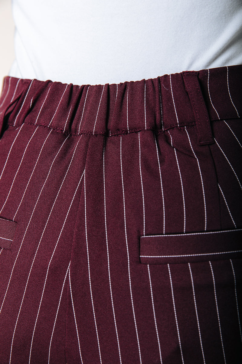 Colourful Rebel Rus Pinstripe Straight Pintuck Pants