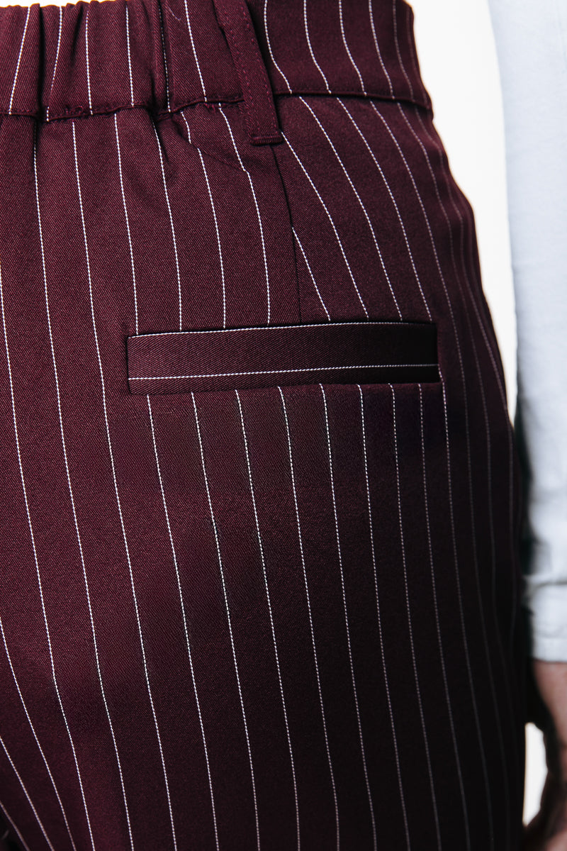 Colourful Rebel Rus Pinstripe Straight Pintuck Pants
