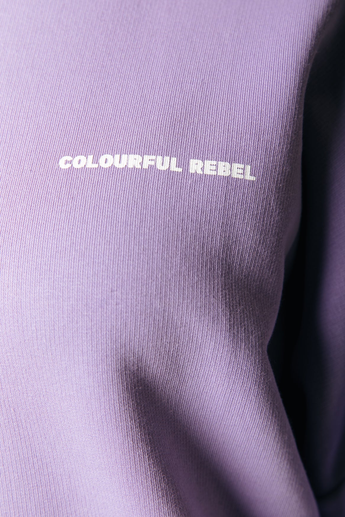 Colourful Rebel Racer Logo Sweat