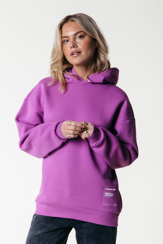 Colourful Rebel Label Clean Hoodie