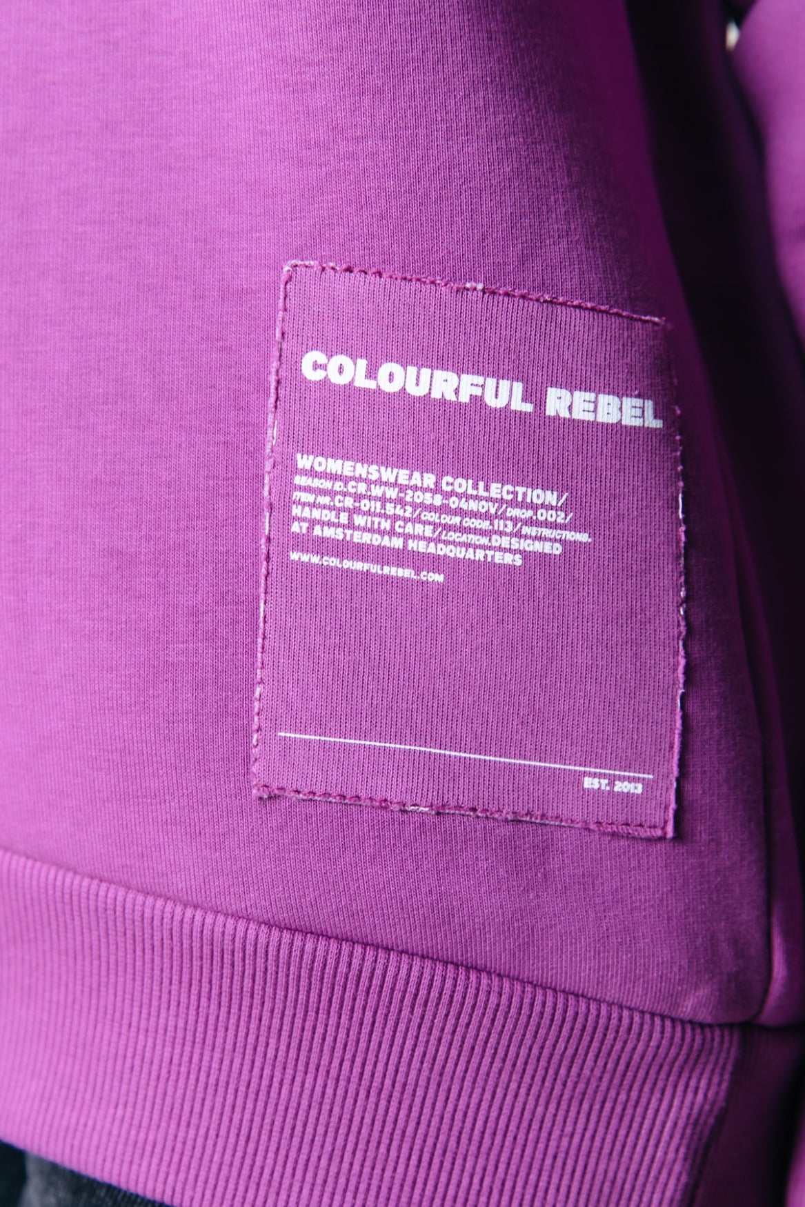 Colourful Rebel Label Clean Hoodie
