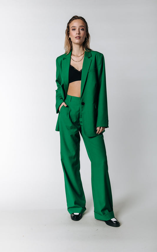 Colourful Rebel Alden Straight Pants | Deep Green