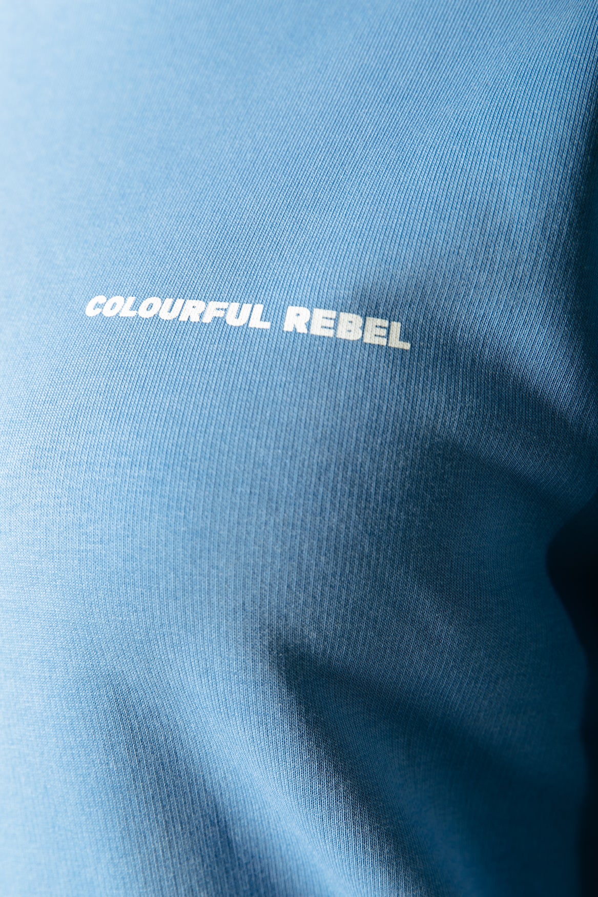 Colourful Rebel Logo Circle Relaxed Sweat
