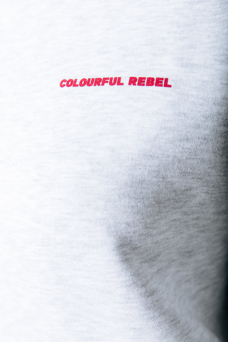 Colourful Rebel Flower Square Dropped Shoulder Sweat