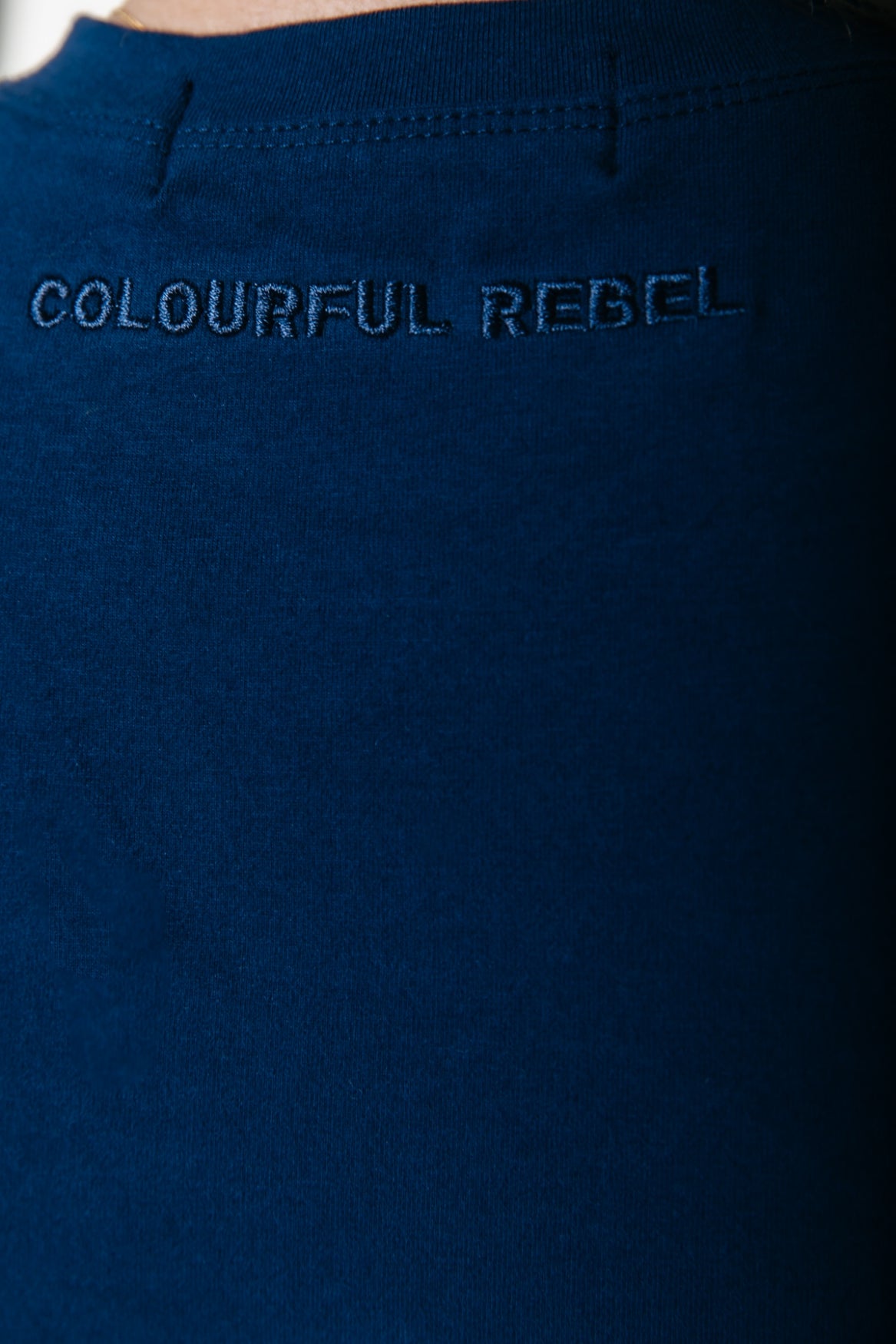 Colourful Rebel Uni Fitted Tee